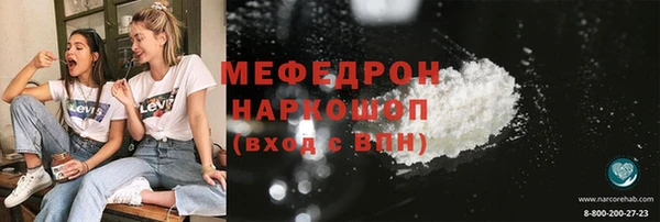 молекула духа Богородицк