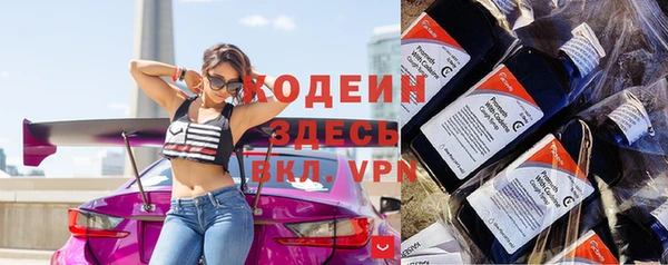 молекула духа Богородицк