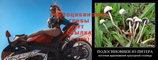 амф Богданович